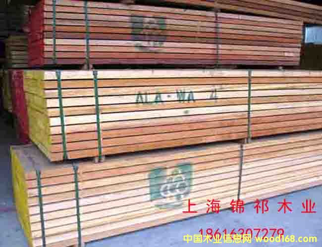 ����ľ��Ԕ����B