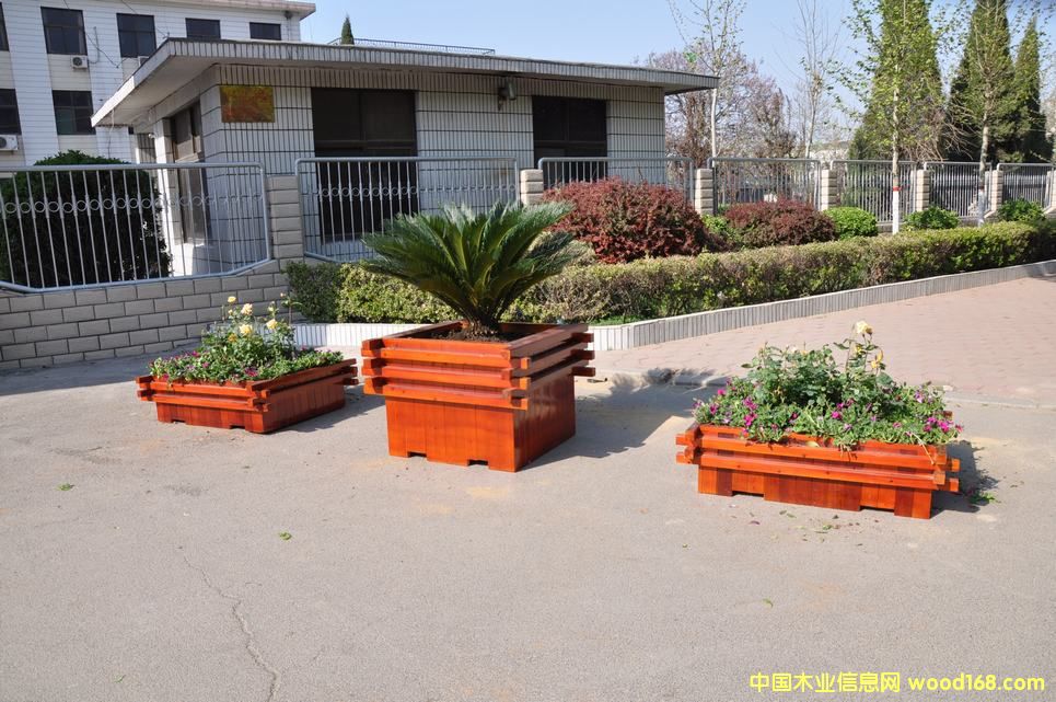 ���v����ľ��Ԕ��(x��)��B