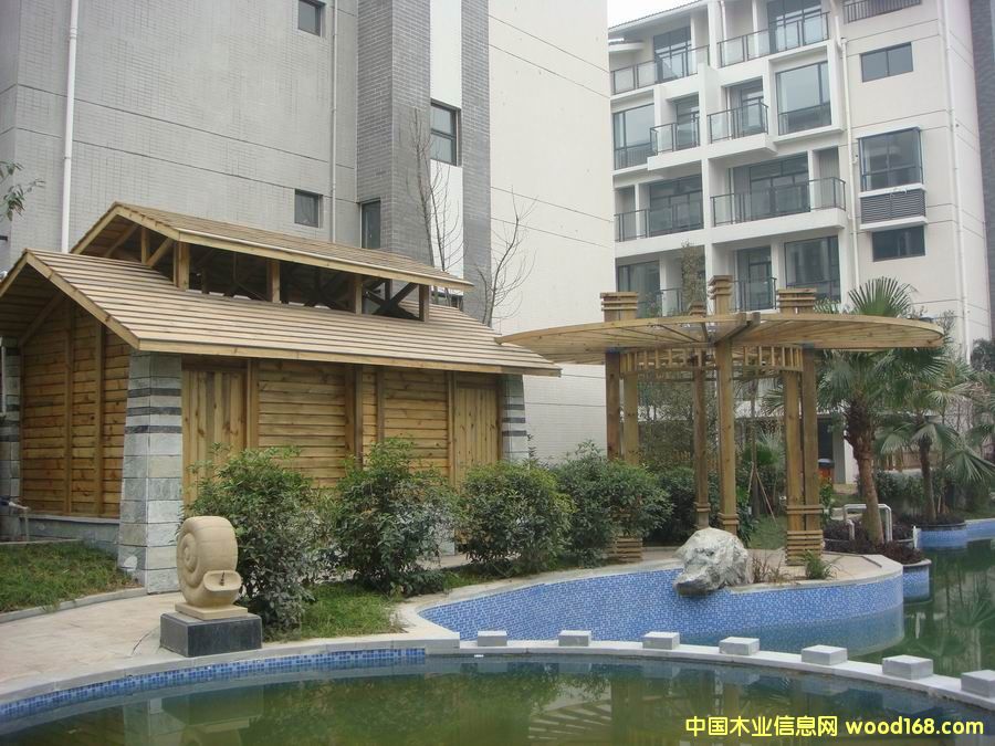 梢木的詳細(xì)介紹