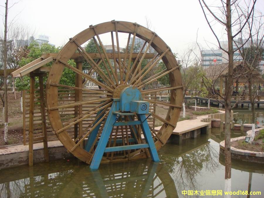 山樟木的詳細(xì)介紹