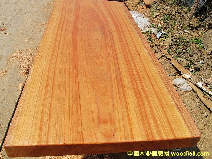 �����S�������Ԕ����B