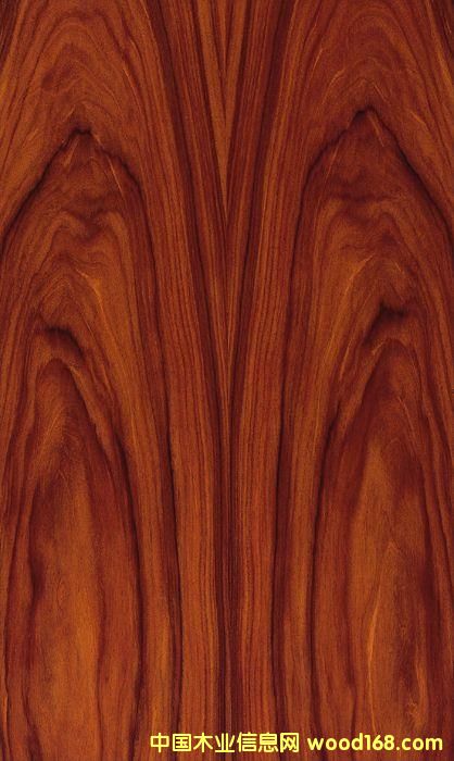 ��֦��Ԕ��(x��)��B