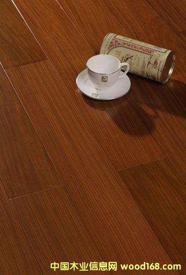 �·ƹ���(y��ng)��(y��u)�|(zh��)����ľ����(sh��)ľ��(f��)�ϵذ��Ԕ��(x��)��B