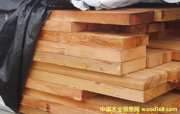 ���ô�tѩ��