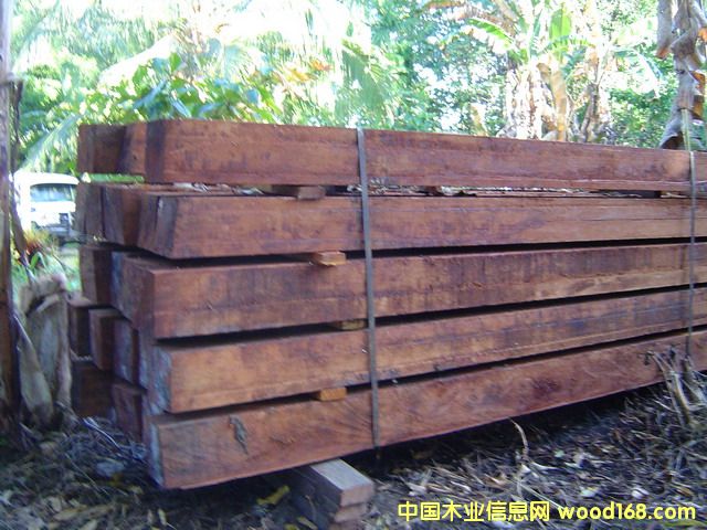 쳝��һ�о��ĵ�Ԕ����B