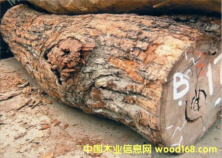 �M���������ô���ľ/�Fɼ/����ľԭľ�M�ڈ��P��Ԕ����B