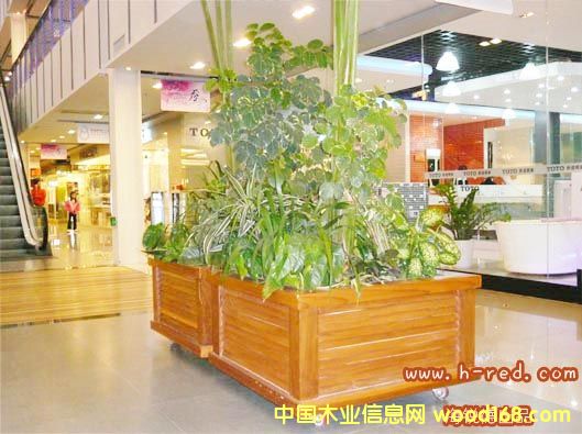 ������Ԕ����B