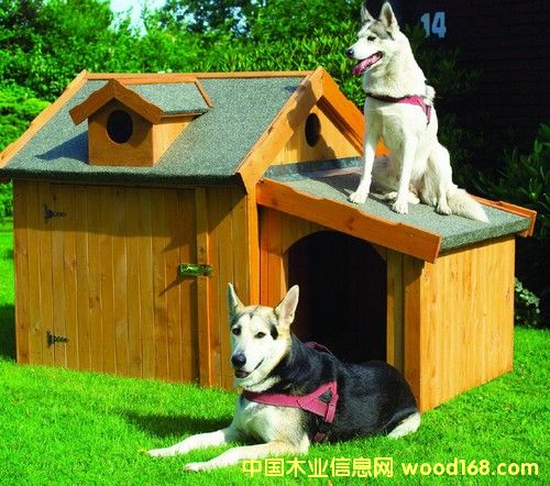 寵物籠的詳細(xì)介紹