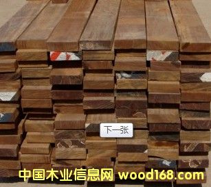 �ڂ��� �ڂ��Ұ�ĵ�Ԕ��(x��)��B