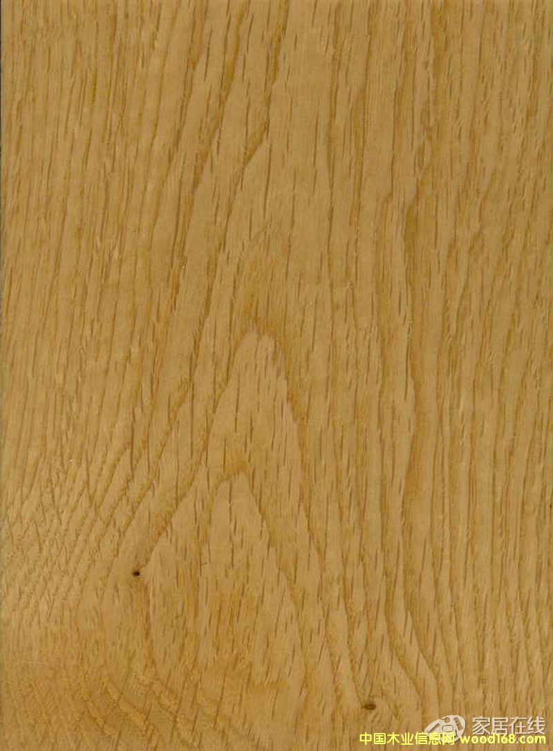 ����ľ��Ԕ��(x��)��B