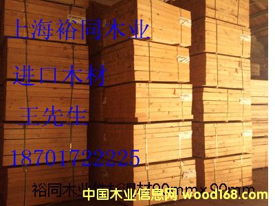 云杉的詳細(xì)介紹