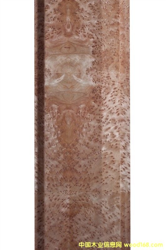 ����ľ��