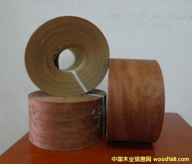 �������X��Ƥ��Ԕ����B