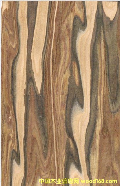 �O(p��ng)��ľ�Ƽ�ľƤ��Ԕ��(x��)��B