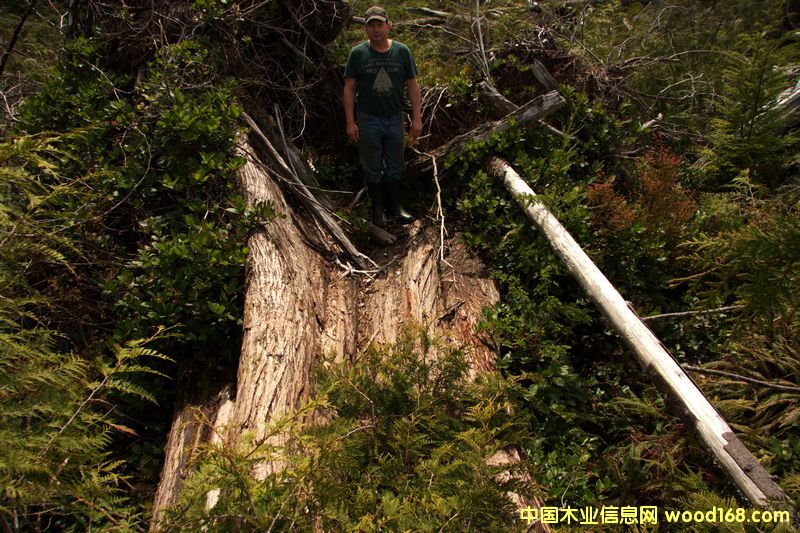 �tѩ��ԭ��