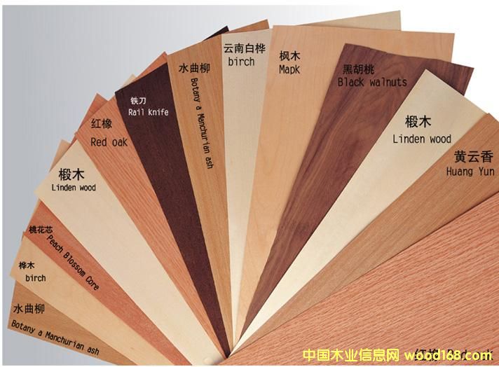 �ߙn��ȻľƤ��߅�l��Ԕ��(x��)��B