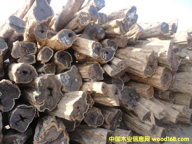 ��ľ��Ԕ��(x��)��B