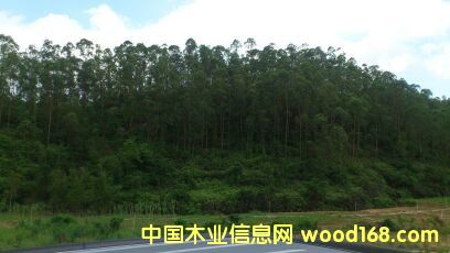 ���(sh��)ԭľ��Ԕ��(x��)��B