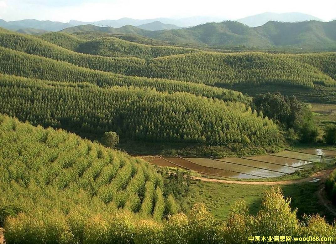 ����?j��)?y��u)�|(zh��)���ԭľ��Ԕ��(x��)��B