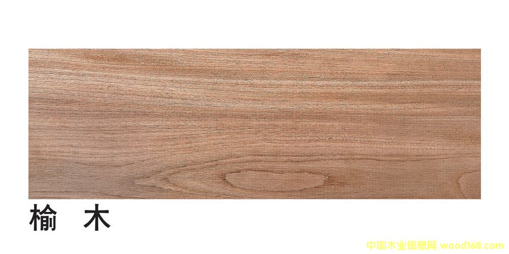 �����M(j��n)�ڼt�ܰ�ĵ�Ԕ��(x��)��B