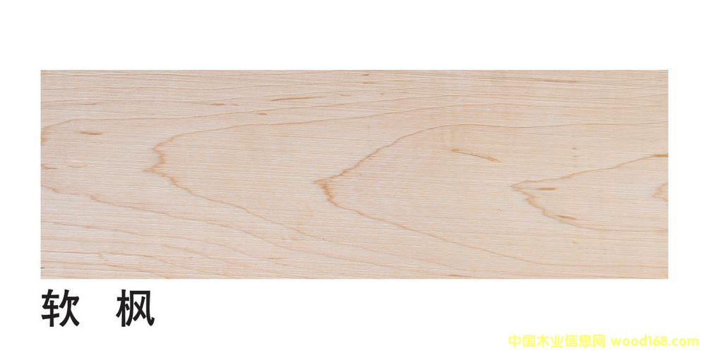 �����M(j��n)��ܛ����ĵ�Ԕ��(x��)��B