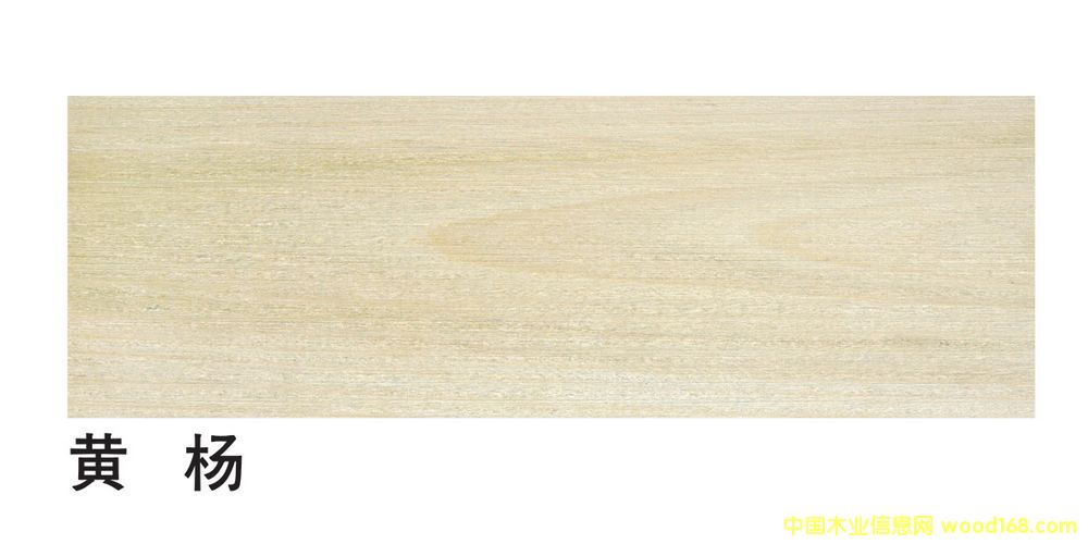 �����M(j��n)���S���ĵ�Ԕ��(x��)��B