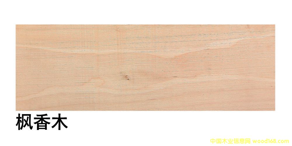 �����M(j��n)�ڗ���ľ��ĵ�Ԕ��(x��)��B