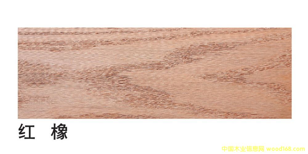 �����M�ڼt����