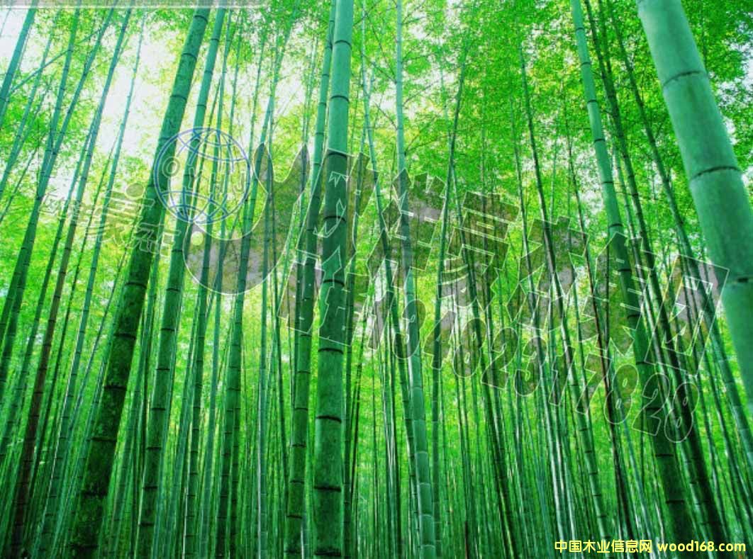 [��] ���Lë�� 14������ ֱ�Ⱥ� ��������