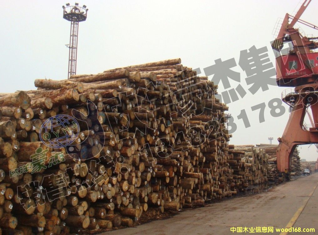 [��] ���~��ԭľ �ڏ�10-50���� �����F(xi��n)؛ ����ݗ���ɰ���