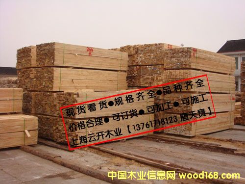 ݗ���ɵ�Ԕ����B