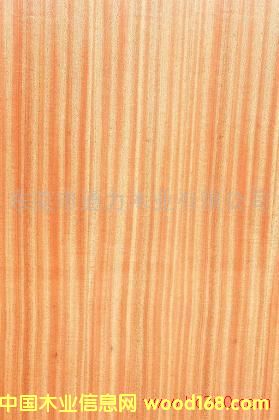 ɳؐ��ֱ�y��Ԕ��(x��)��B