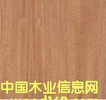 ����-������