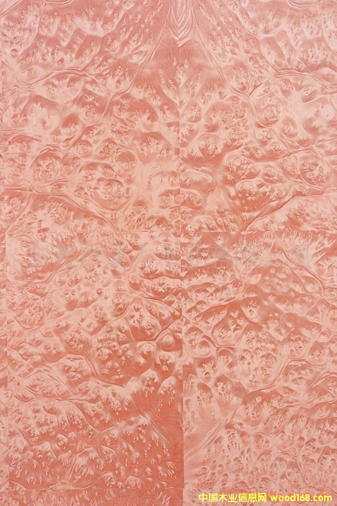 ����(d��ng)�Ș����Ԕ��(x��)��B