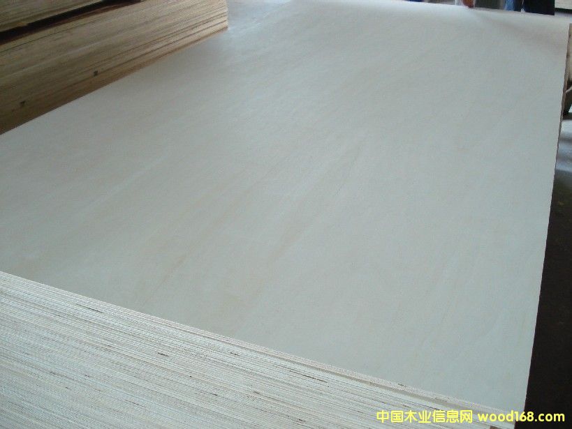 ��ľ�z�ϰ�