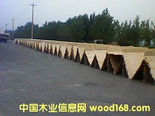 ��ľ�N����Ԕ����B