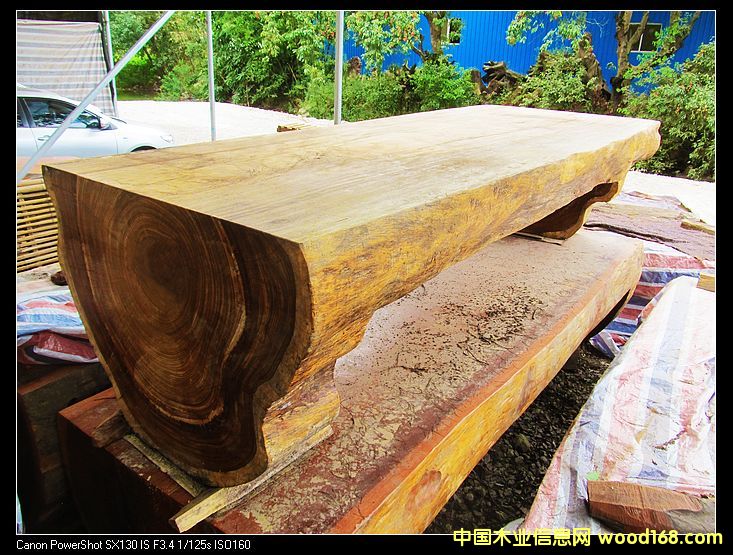 ����(y��ng)���Rľ�����/��(sh��)ľԭľ�����/����/����/��X��