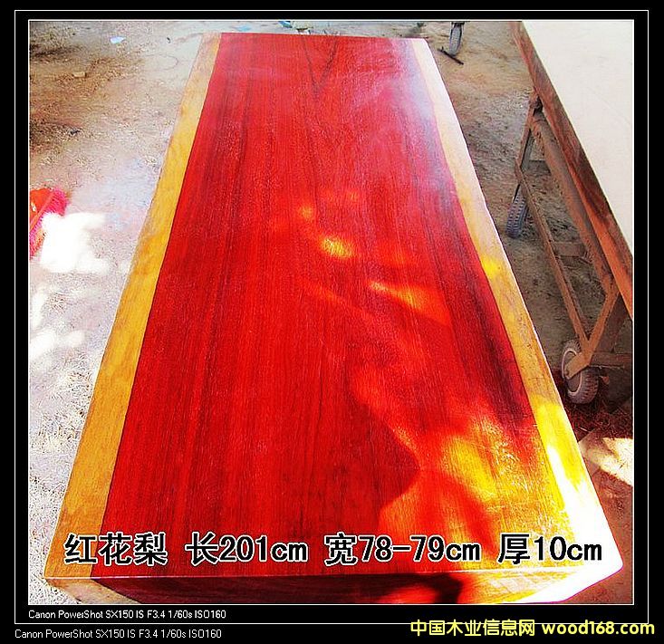 �t������/��ľ�k����/����/����/��X��/���h��/���e��