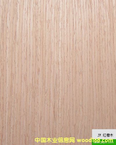 �t���Ԕ��(x��)��B