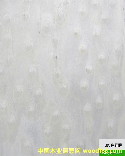 ��؈�۵�Ԕ��(x��)��B