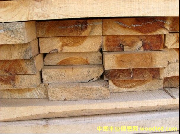 ����(y��ng)���ľԡͰ��