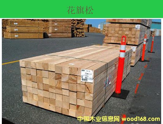 ���ô��Fɼ��Ԕ����B