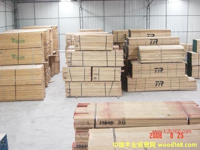 白橡的詳細(xì)介紹