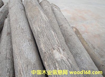 ˮ����ԭľ��Ԕ��(x��)��B