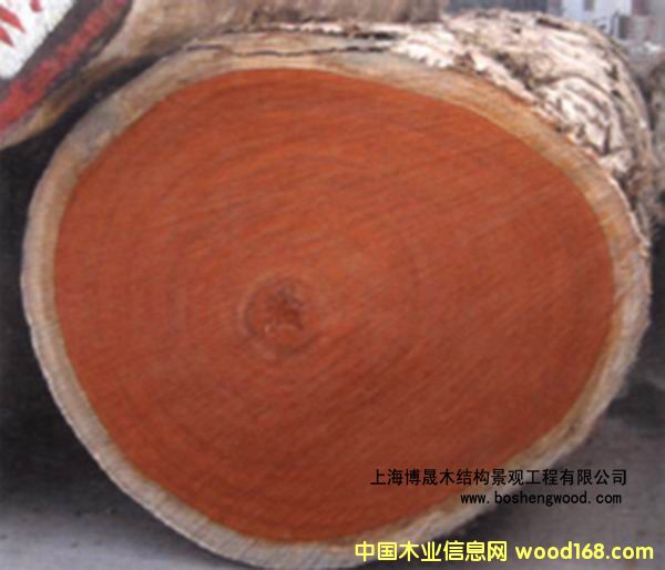 ɽ��ľ��Ԕ����B