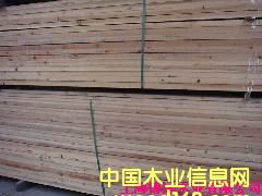 �tѩ�Ƀr���Ԕ��(x��)��B