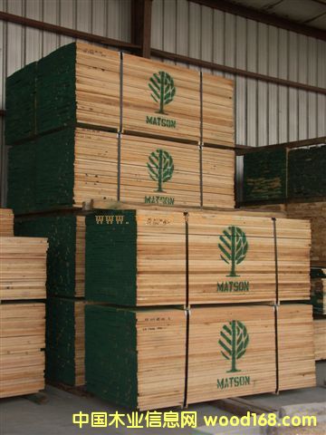 �t���Ԕ��(x��)��B