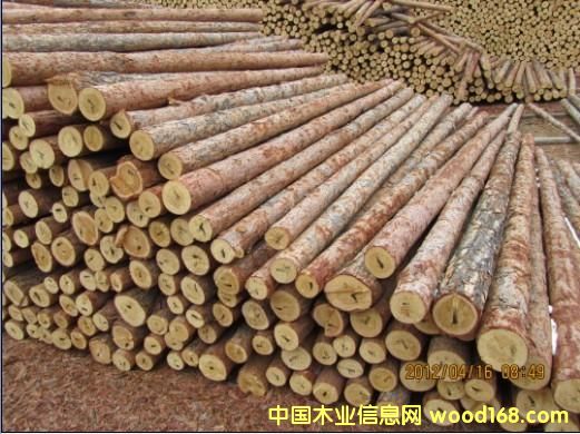 落葉松的詳細(xì)介紹