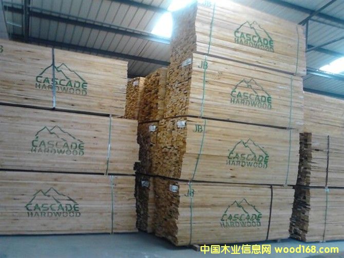 ���������Ԕ��(x��)��B