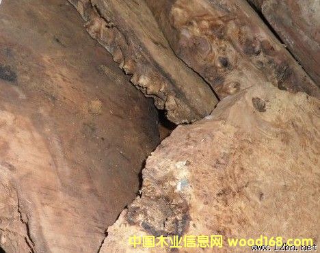 ����ľ��(sh��)��ë�ϵ�Ԕ��(x��)��B